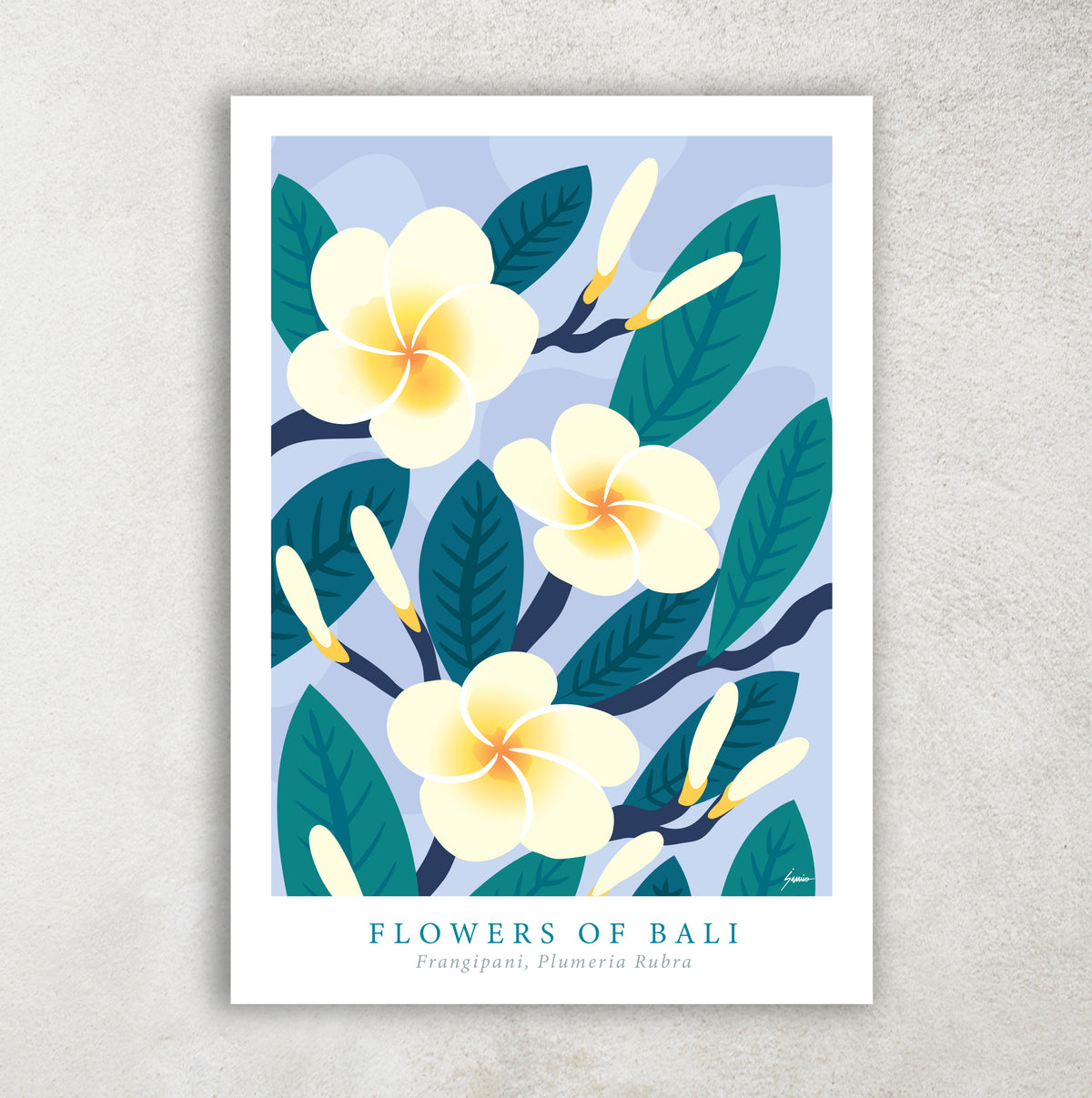 FRANGIPANI – MOON ROCKS