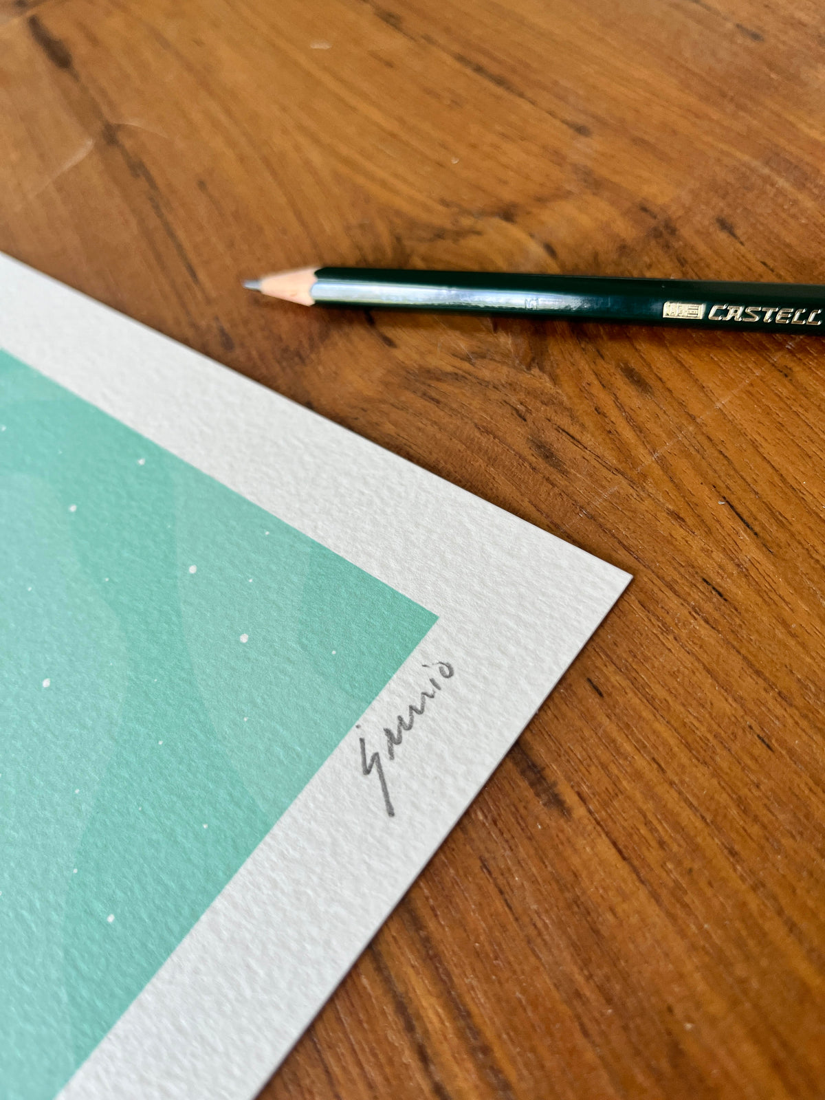 WILD LIVES – MOON ROCKS